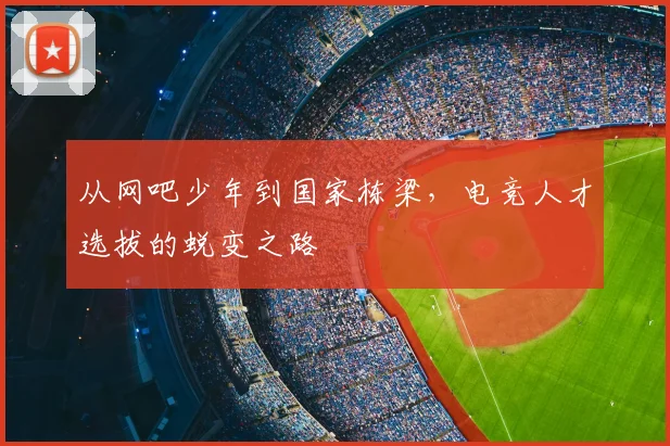 从网吧少年到国家栋梁，电竞人才选拔的蜕变之路